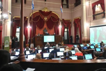 La agenda de Diputados antes de la sesión que tratará la creación de la OSER.