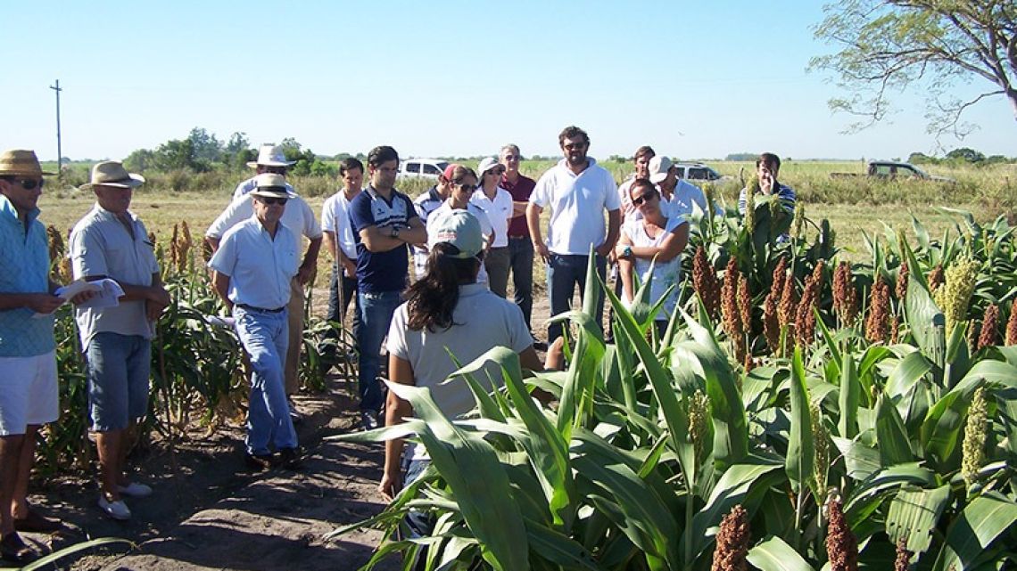 INTA Corrientes expresa preocupación por la reforma que afecta la asistencia a economías regionales