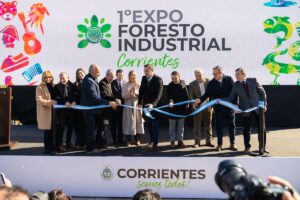 La provincia con más forestaciones invirtió US0 millones para convertirse en potencia industrial