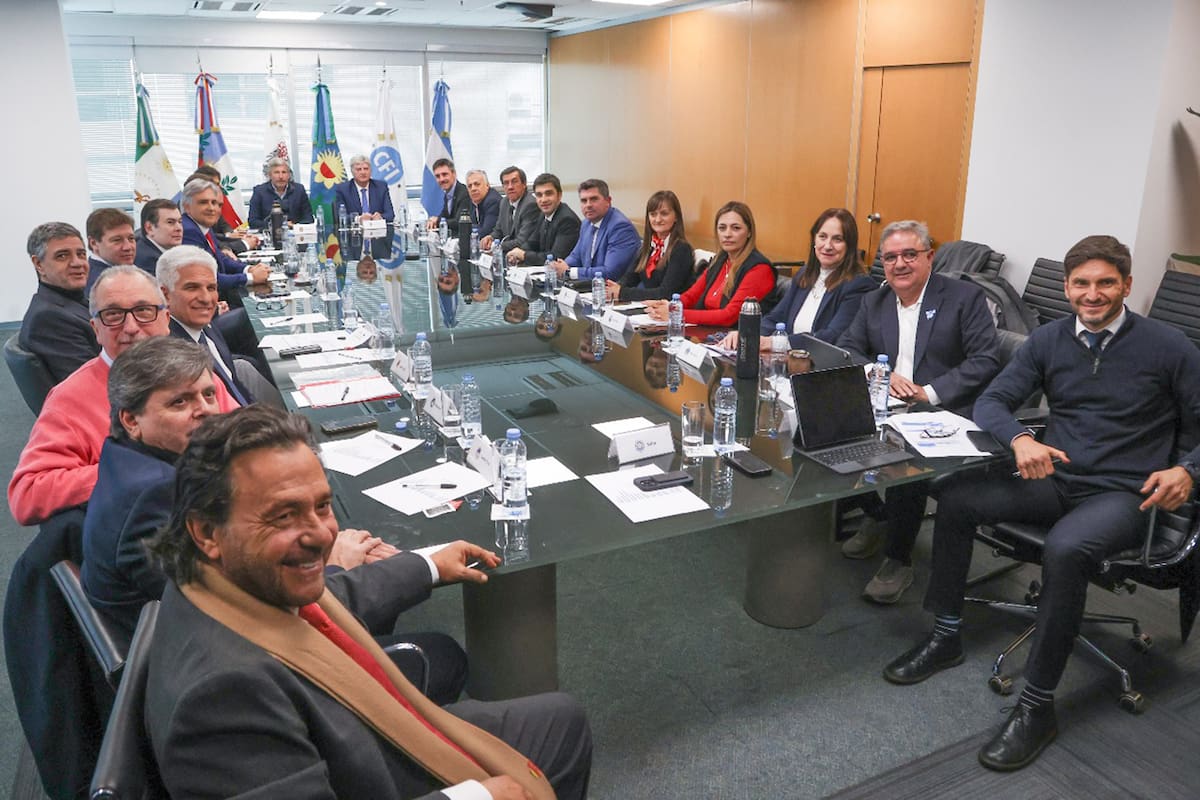 Gobernadores en pie de guerra. La emergencia financiera unió a las provincias y se abren dudas sobre la gobernabilidad de Milei