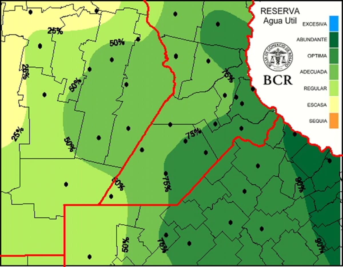 “Vuelven las dudas”: la Bolsa de Comercio de Rosario habla de “incertidumbre” por la siembra de trigo en una importante región