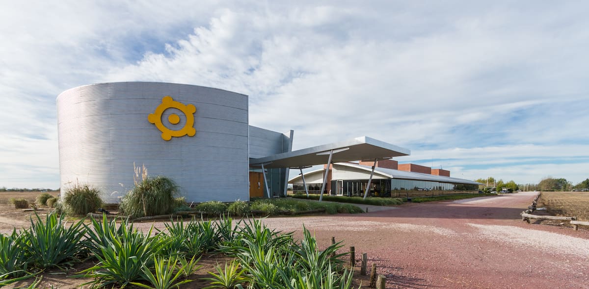 Los Grobo Agropecuaria reporta pérdidas que superan los $36.000 millones en sus recientes resultados financieros