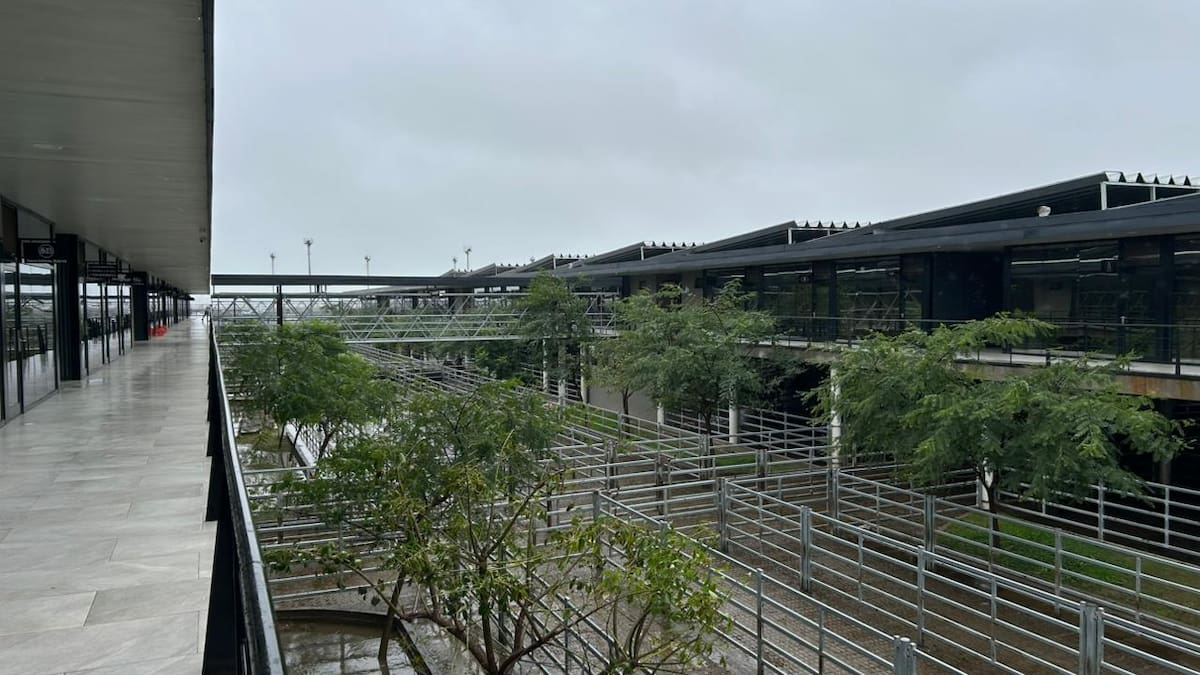 Cierre de semana favorable en el mercado agroganadero de Cañuelas