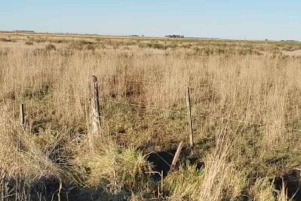 Hartos de la inacción, vecinos enfrentan a los ladrones de vacas que azotan la región nuevamente.