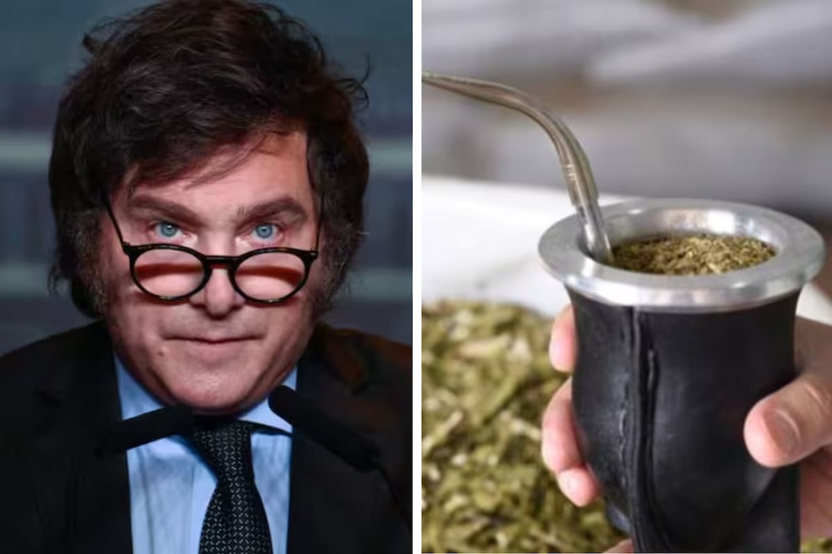 La Justicia de Misiones traslada a Buenos Aires denuncia de productores contra Milei por falta de nombramiento en el instituto