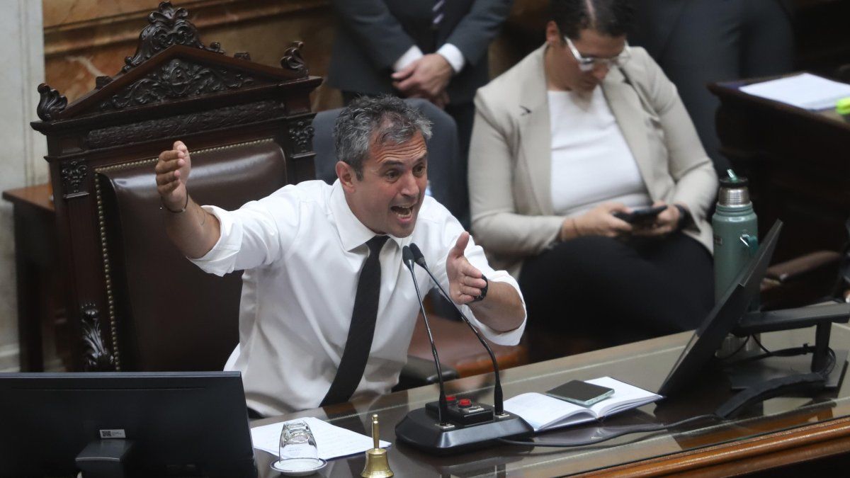 Diputados: la oposición se prepara para volver a la carga con proyectos que incomodan a Milei