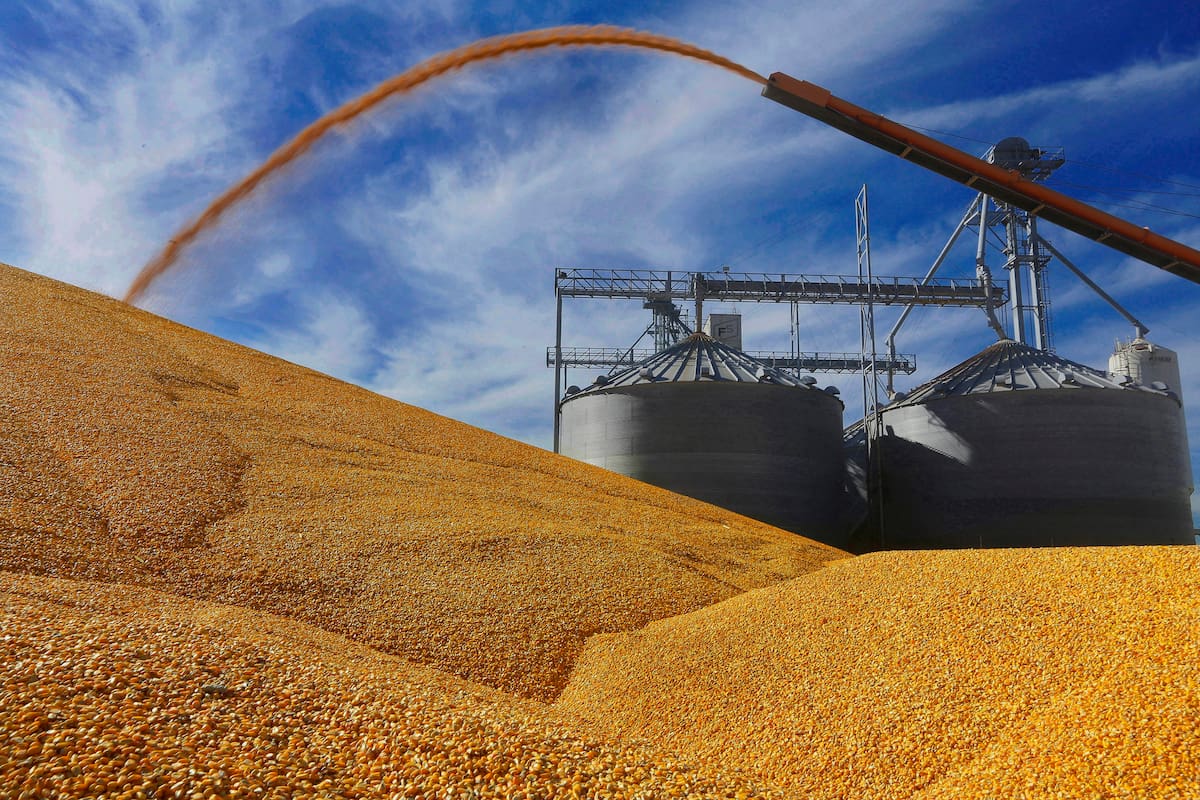 Desafíos internacionales y decisiones locales: la urgencia de medidas ante la complejidad actual