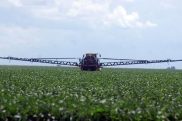 Agroquímicos: ranking de empresas 2024 y proyección para el top ten en 2025