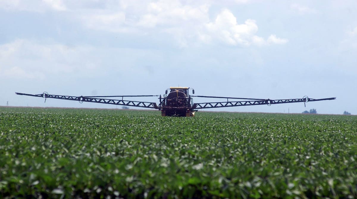 Agroquímicos: ranking de empresas 2024 y proyección para el top ten en 2025