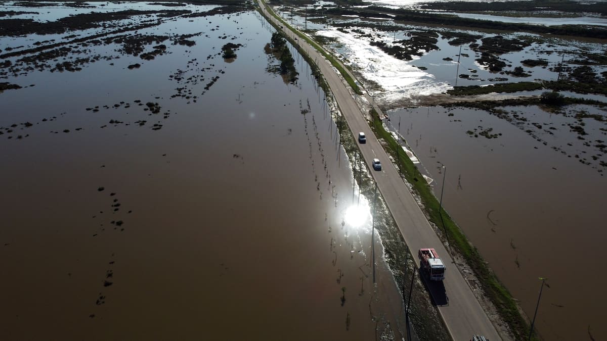 La FAO destinará US$500.000 a Bahía Blanca y Chaco para la reconstrucción de sus áreas rurales