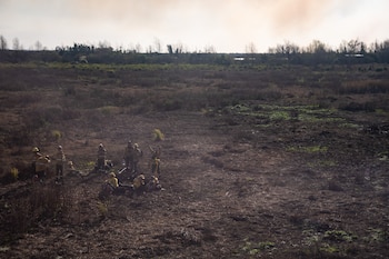 Condenaron a prisión a los apicultores acusados por los incendios en el Delta que consumieron 6 mil hectáreas