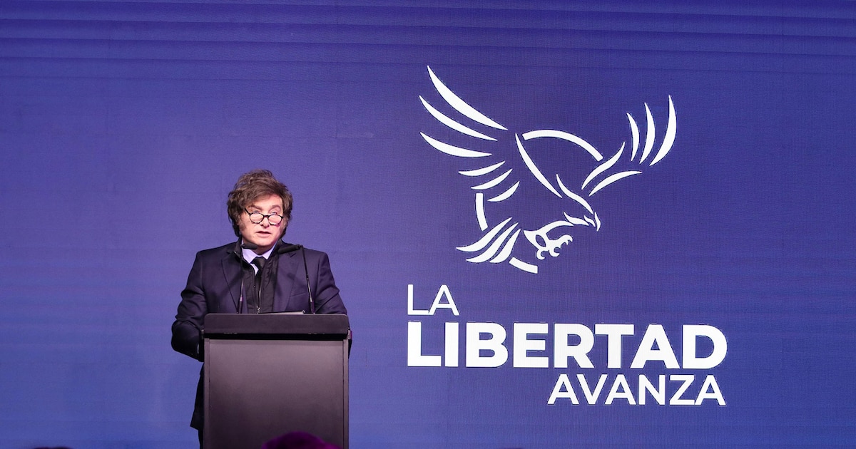 Alianzas o competir solos: qué estrategias evalúa el Gobierno en las provincias clave para octubre