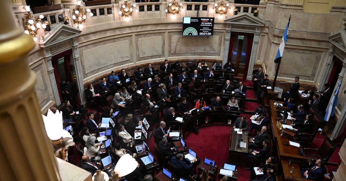 El Senado sancionó las leyes jubilatorias, la reactivación de la moratoria y la emergencia en discapacidad