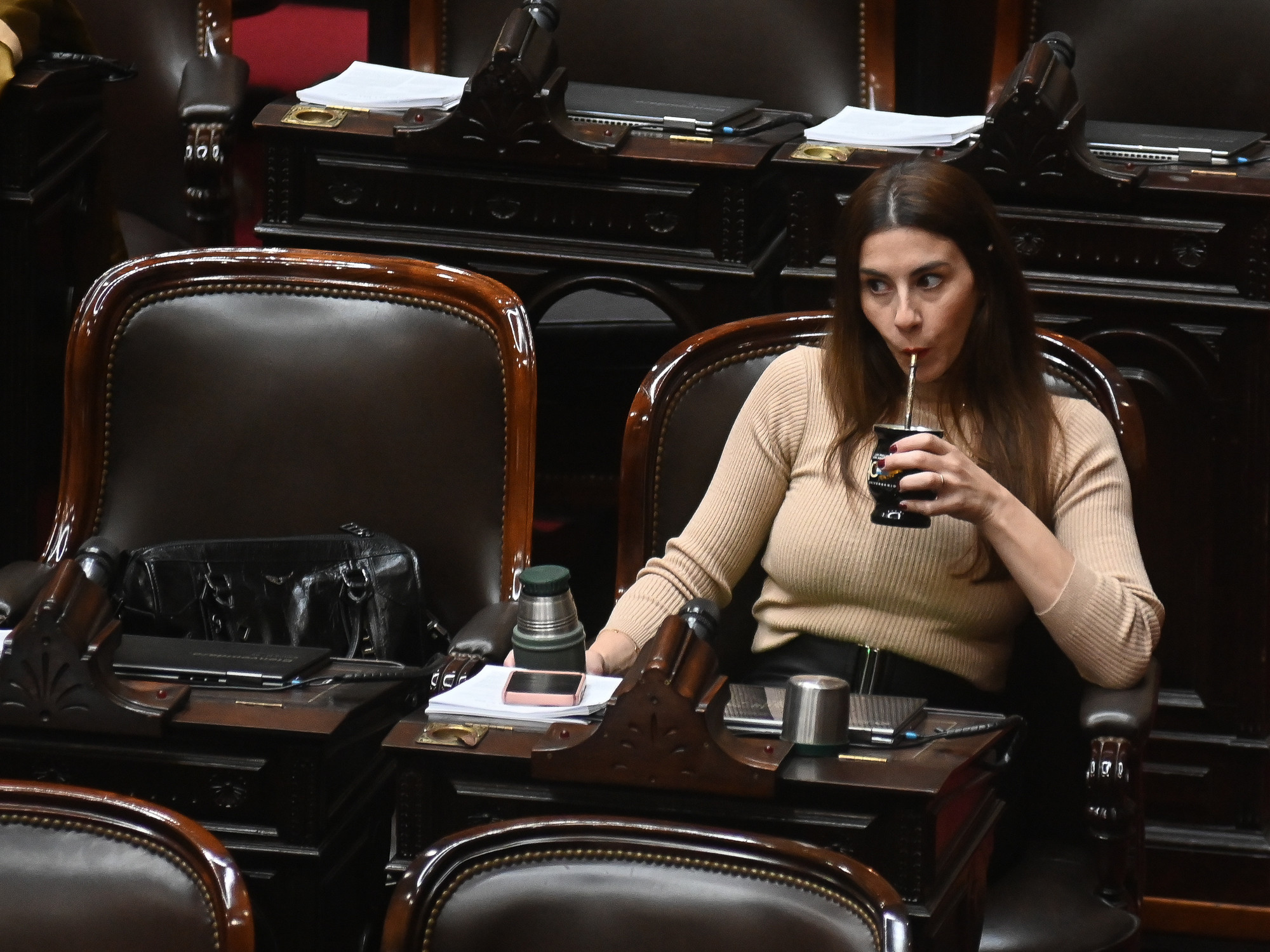 Marcela Pagano dio quórum en una sesión sensible para el Gobierno y Lilia Lemoine la acusó de jugar para la oposición: “Se llama blanqueo”