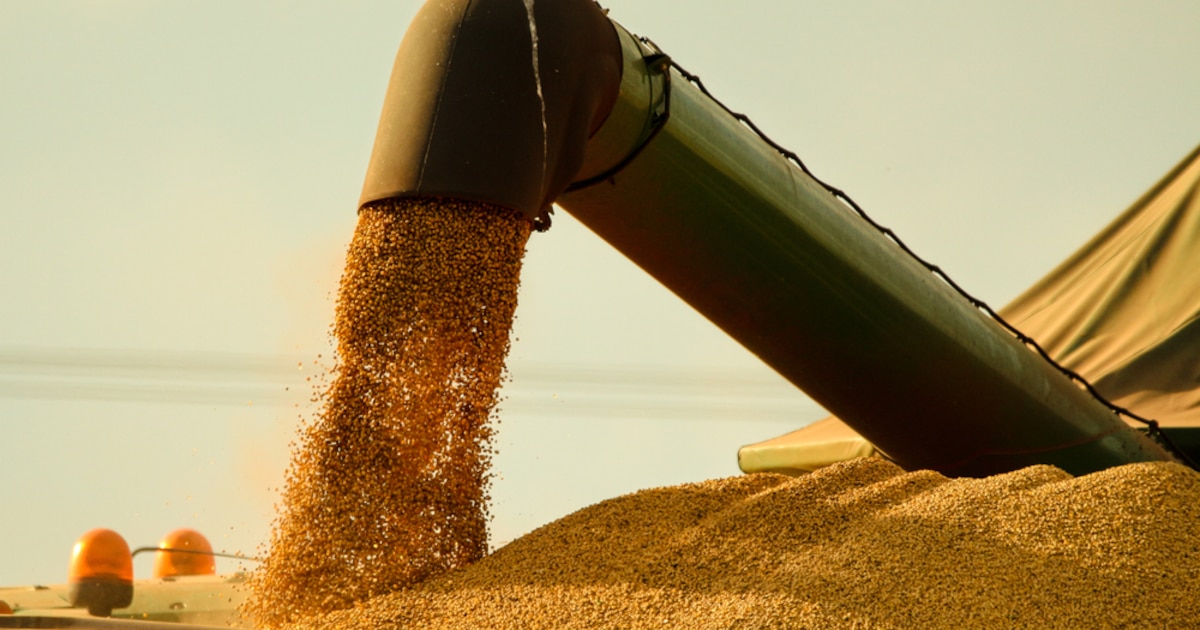 Agrodólares: el campo alcanzó en el primer semestre el máximo de divisas en 20 años gracias a la rebaja de retenciones