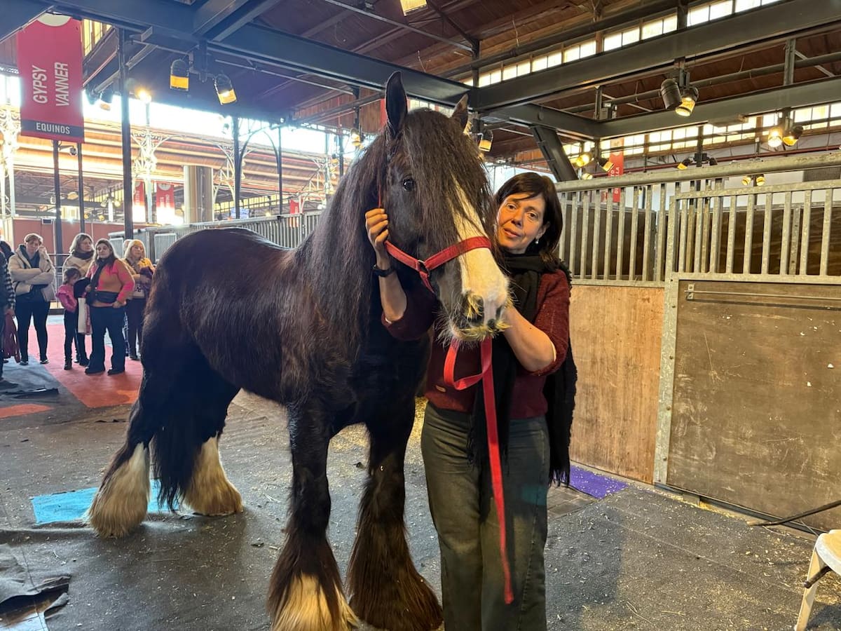Furor en la Rural por la raza equina que promueve la terapia y fortalece la unión familiar