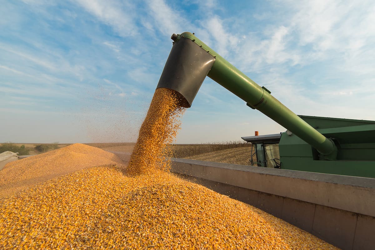 Empresarios solicitan un sistema de consultas para la importación de maquinaria agrícola de segunda mano