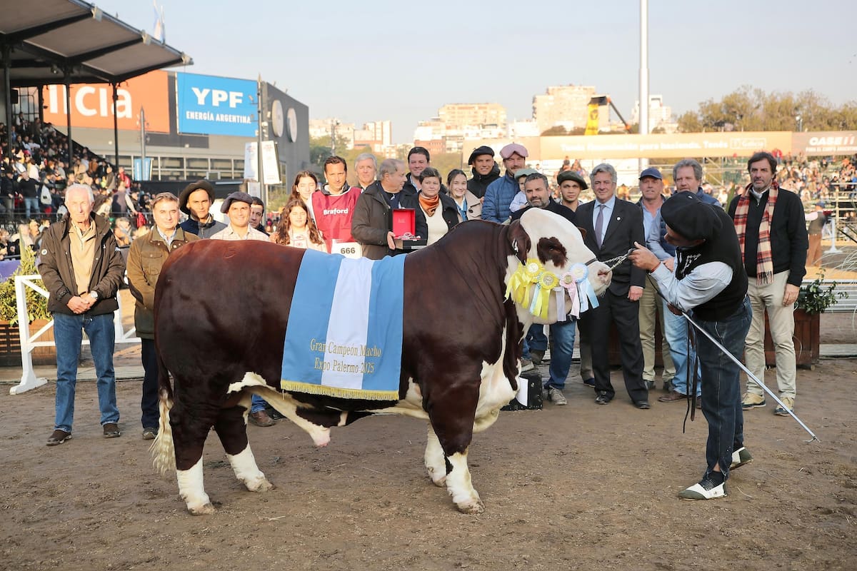Con ejemplares de alto nivel, Braford consagró en Palermo a sus grandes campeones