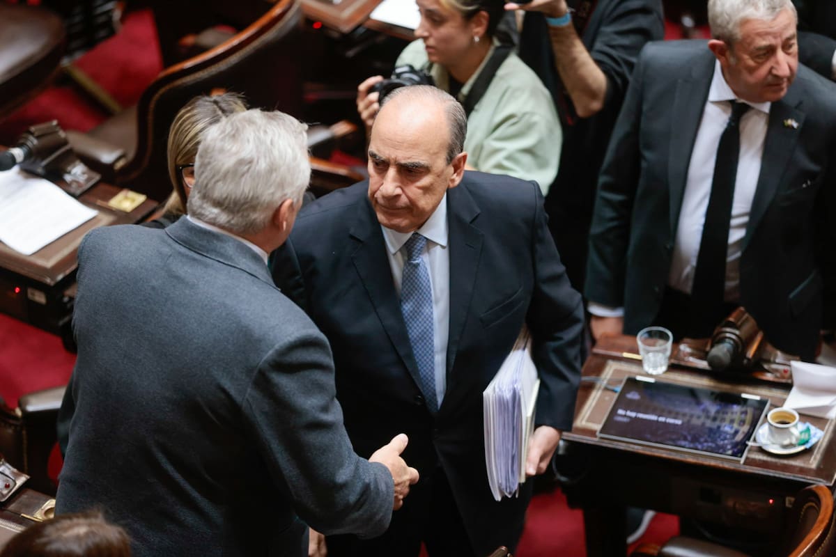 Agenda legislativa. Cuáles son los proyectos de los diputados opositores que incomodan al gobierno de Milei