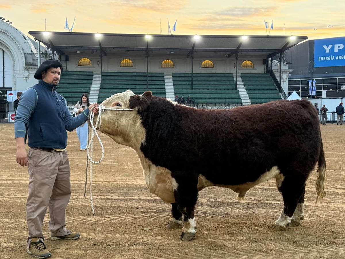 Escocés marca el inicio en la Rural mientras se intensifican los preparativos para la muestra del campo en la ciudad