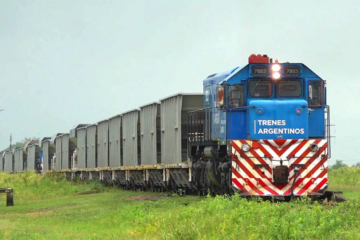 Privatizan Belgrano Cargas y Logística, con el remate de material y la concesión de vías