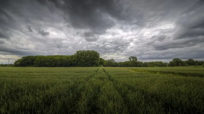 Junio cerró con lluvias por debajo del promedio histórico en Entre Ríos