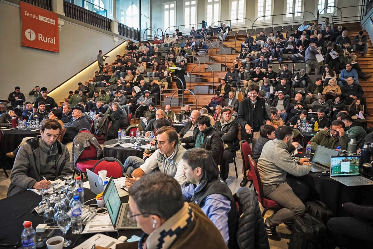 Precios firmes en las subastas de Palermo para la hacienda: una mirada a la actualidad del mercado agrícola