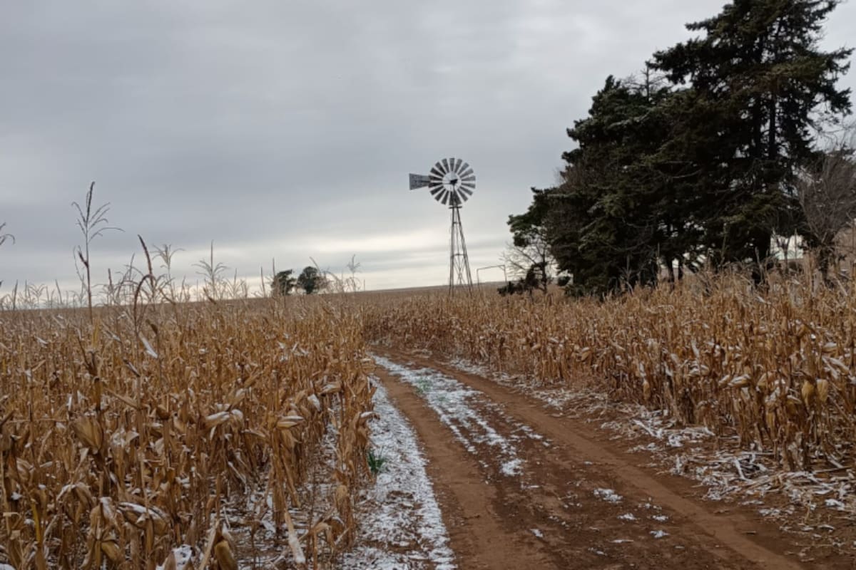 Vientos polares ralentizan el avance de lluvias en la región pampeana y afectan el clima local