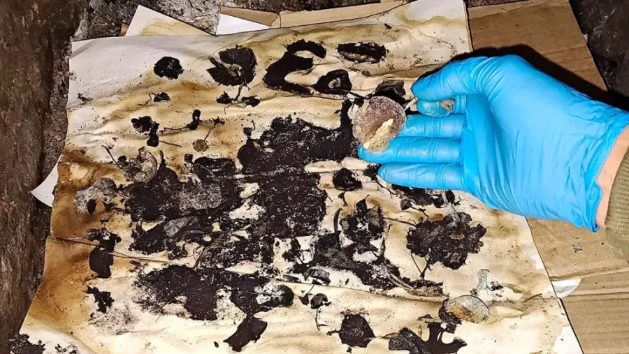 Joven fallecido en Concepción del Uruguay mostró signos de broncoaspiración según el informe médico oficial