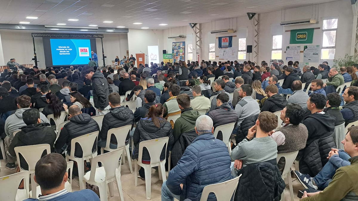 Desafíos para la próxima campaña: reconstruir el suelo y reducir las brechas existentes