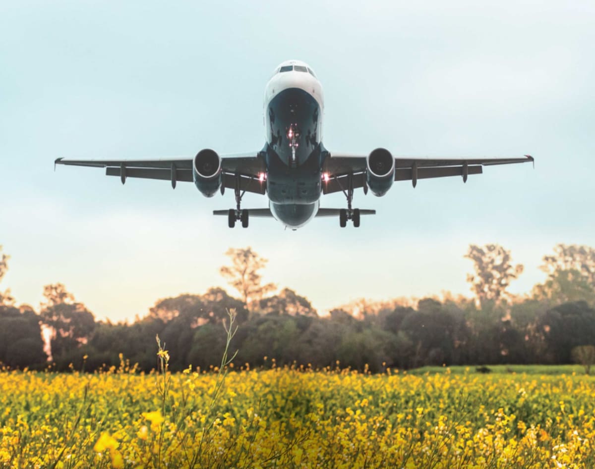 El prometedor mercado que podría revitalizar la agricultura a nivel mundial