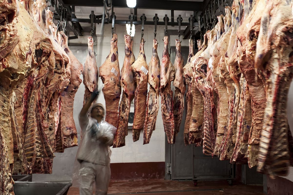 Carne como señal política: más favorable que una mejora del negocio según expertos del sector