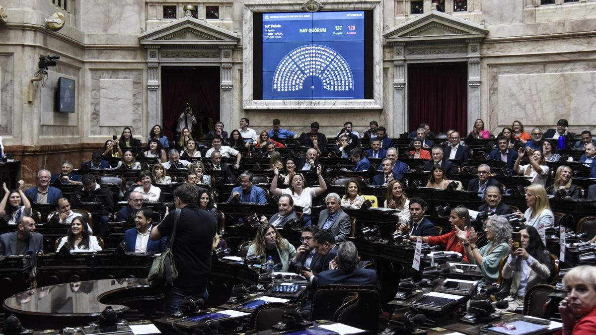 Diputados: con apoyo de aliados de Milei, la oposición logró poner en marcha la sesión por el Garrahan