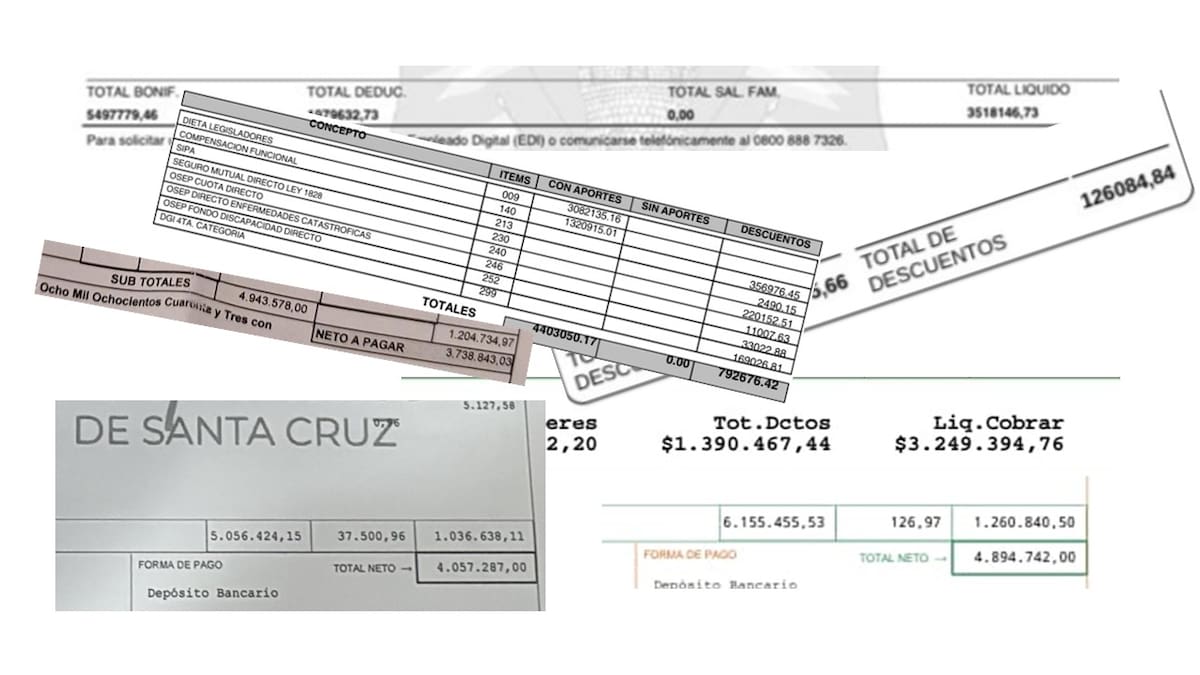Fondos públicos. Cuánto cobran los legisladores provinciales en cada uno de los 24 distritos de la Argentina