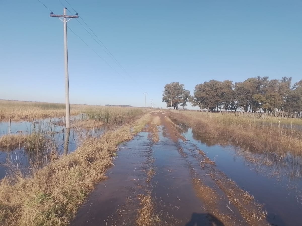 La Justicia exige a un municipio detallar el uso de la recaudación de una tasa rural