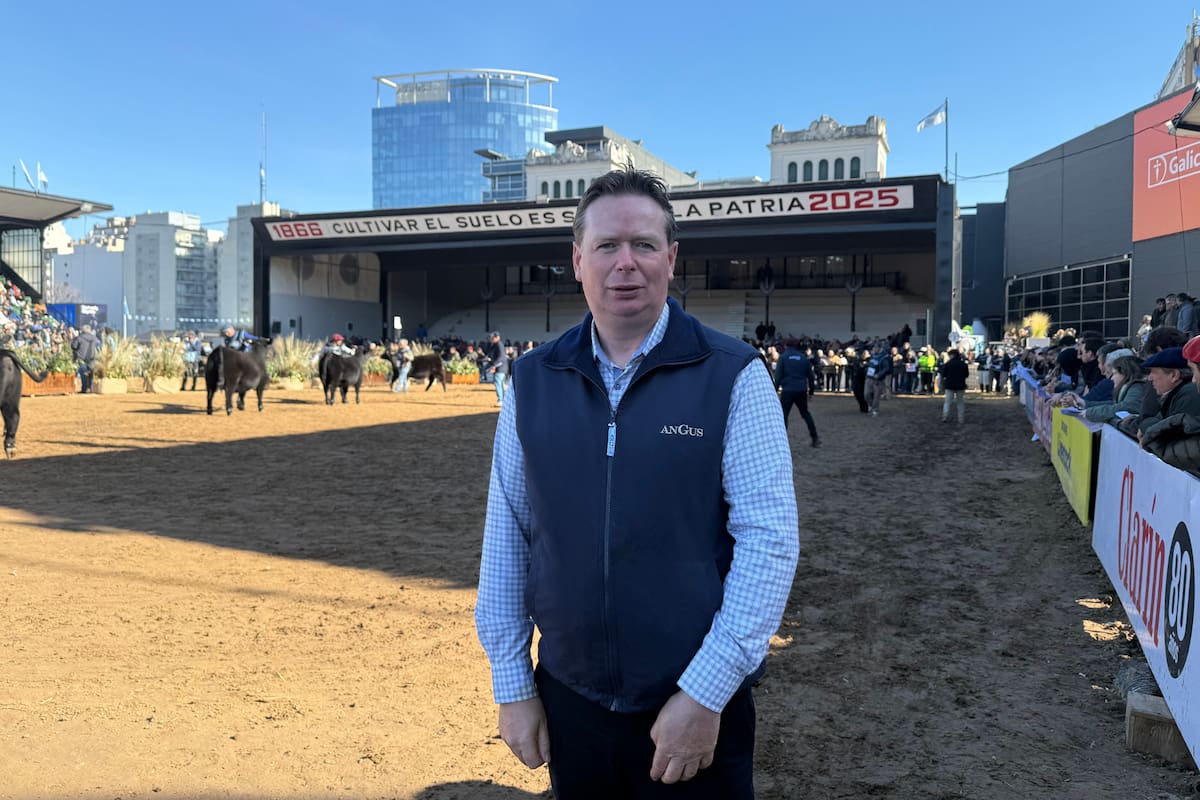 La máxima figura de la raza de carne se sorprende por su experiencia en la Rural