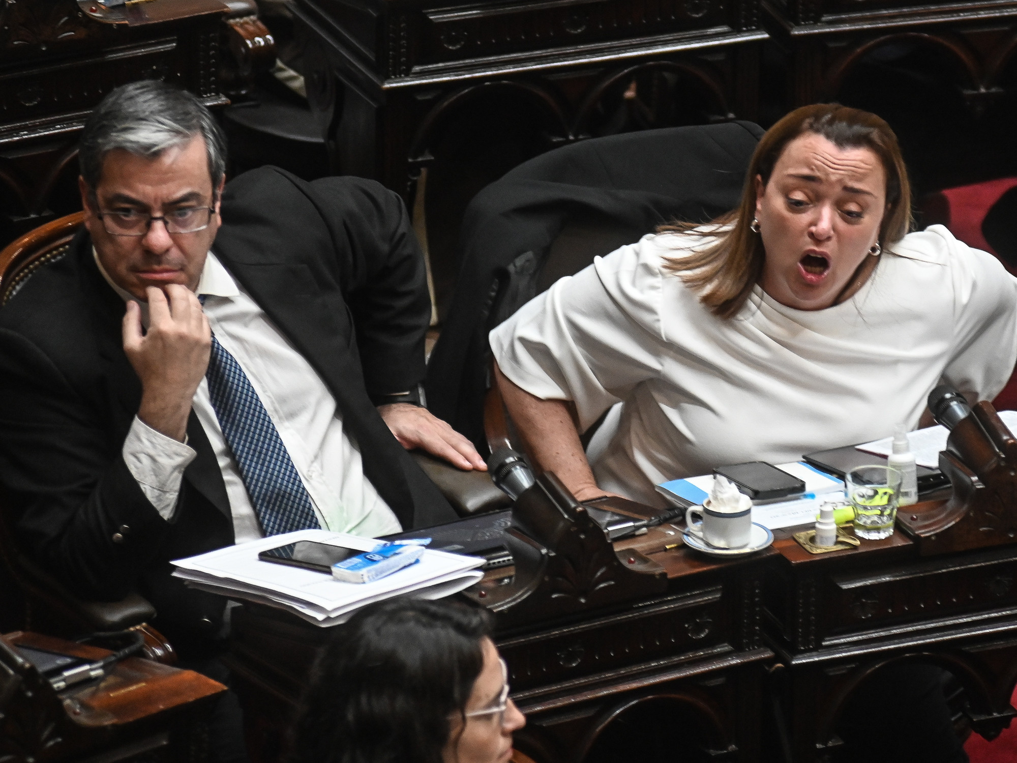 la oposición quiere sesionar la semana próxima y discute la estrategia