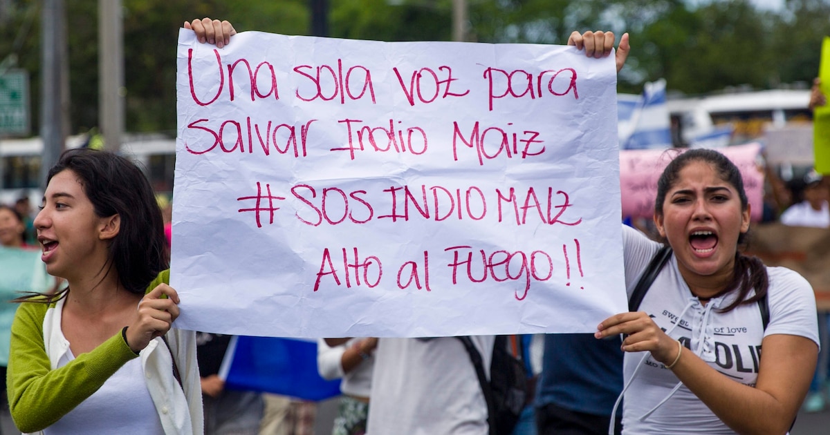 Nicaragua otorga concesión minera a empresa china en área protegida, intensificando la polémica sobre recursos naturales