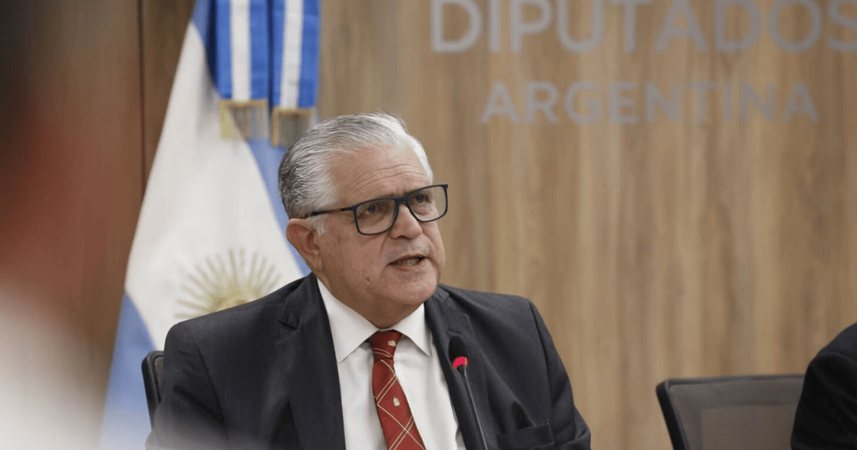 La insólita promesa de López Murphy si gana las elecciones: “Voy a nadar de Varese a la Bristol”