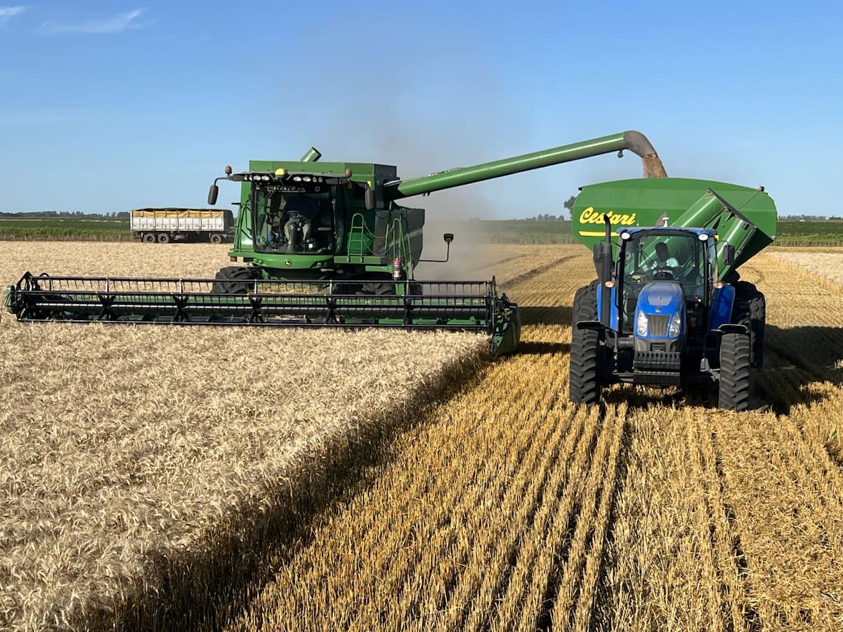 Sintonía fina necesaria ante márgenes ajustados para mantener la calidad y eficiencia en el sector