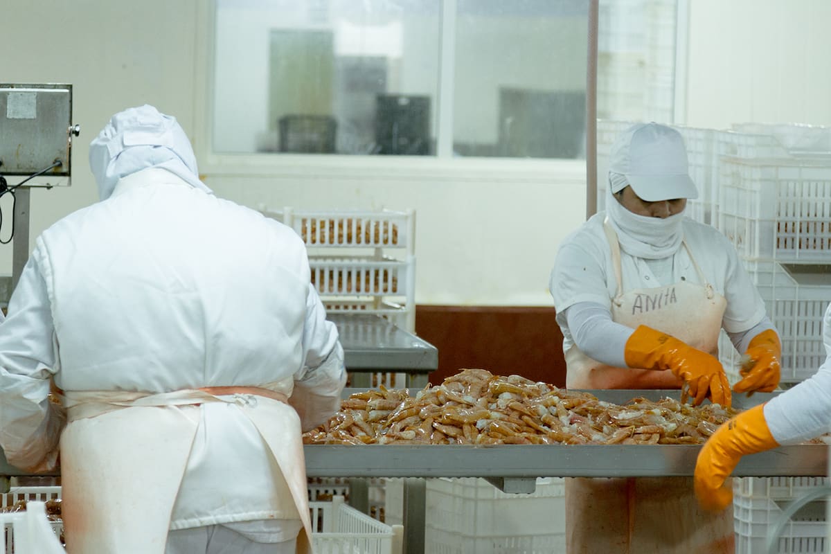 Aumenta la presión para eliminar las retenciones a la pesca debido a la crisis en el sector