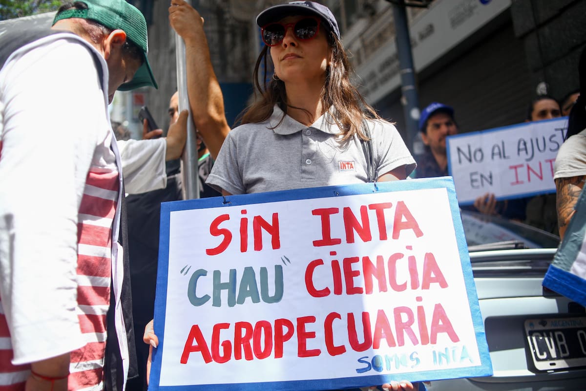 nueva estructura organizativa genera expectativa ante inminente decisión del Senado