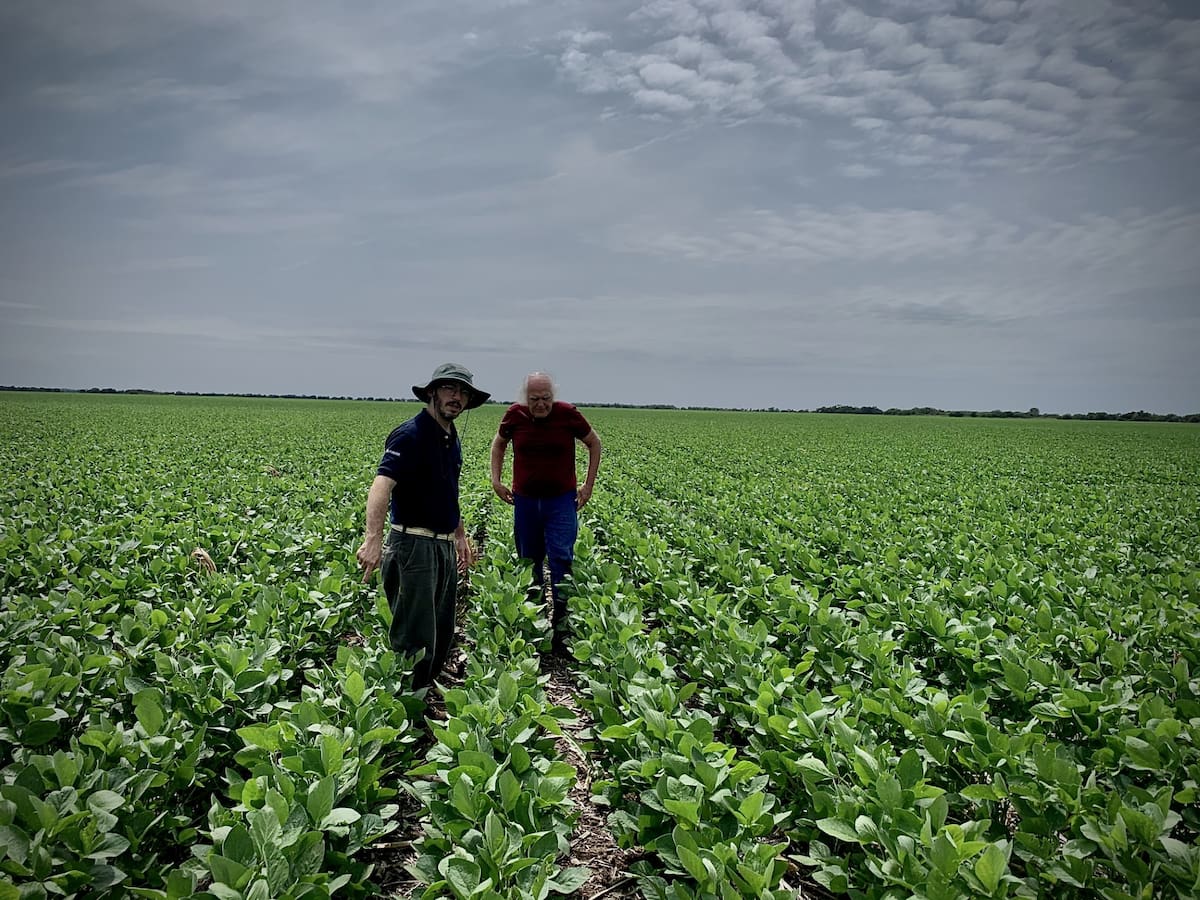 Cuatro factores esenciales para alcanzar el éxito en empresas agropecuarias