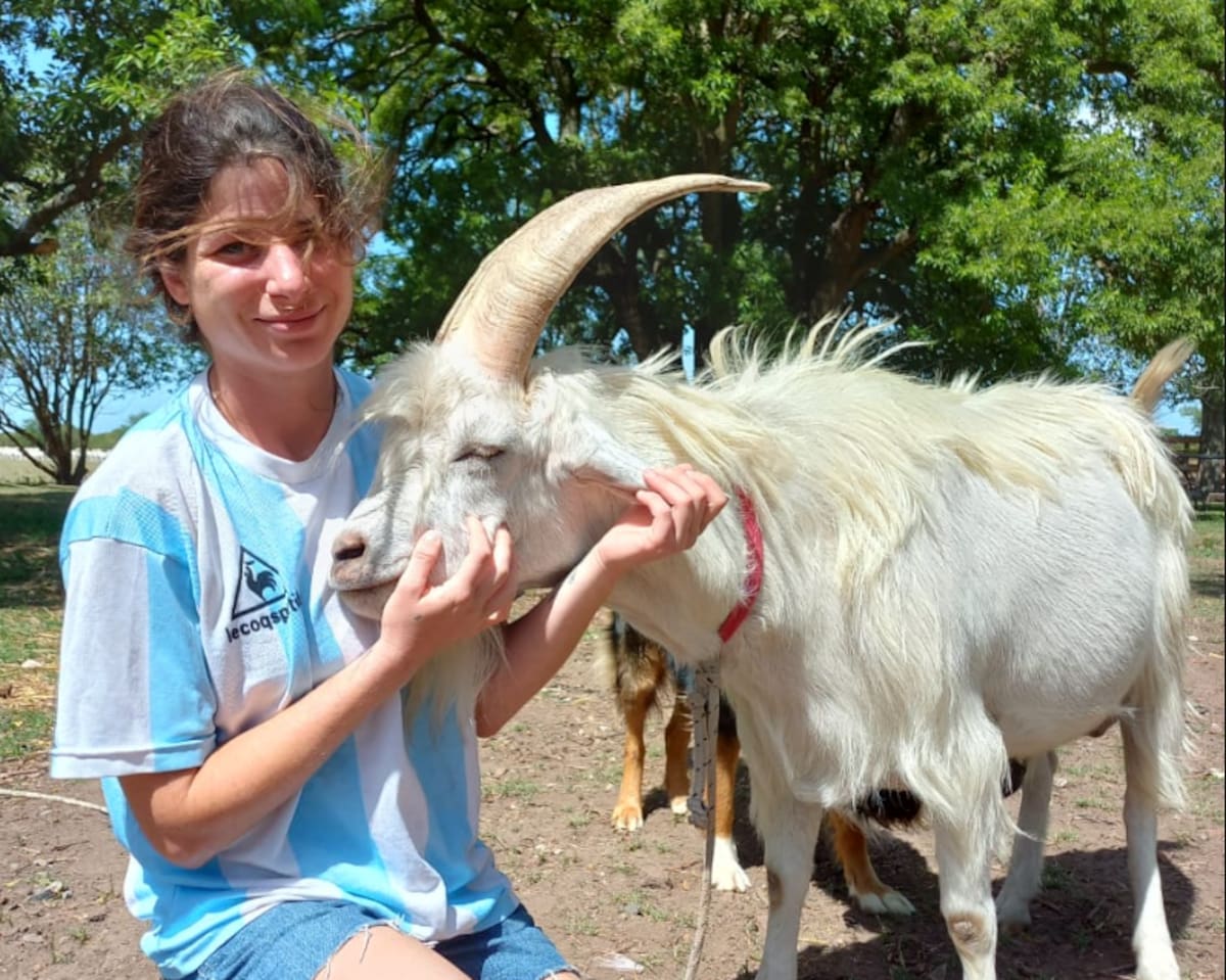 De París a Buenos Aires: la francesa que produce un queso poco conocido en su chacra argentina
