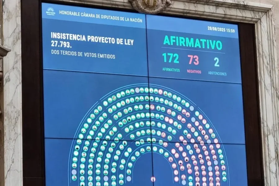 Uno por uno: así votaron los diputados para rechazar el veto a la emergencia en discapacidad