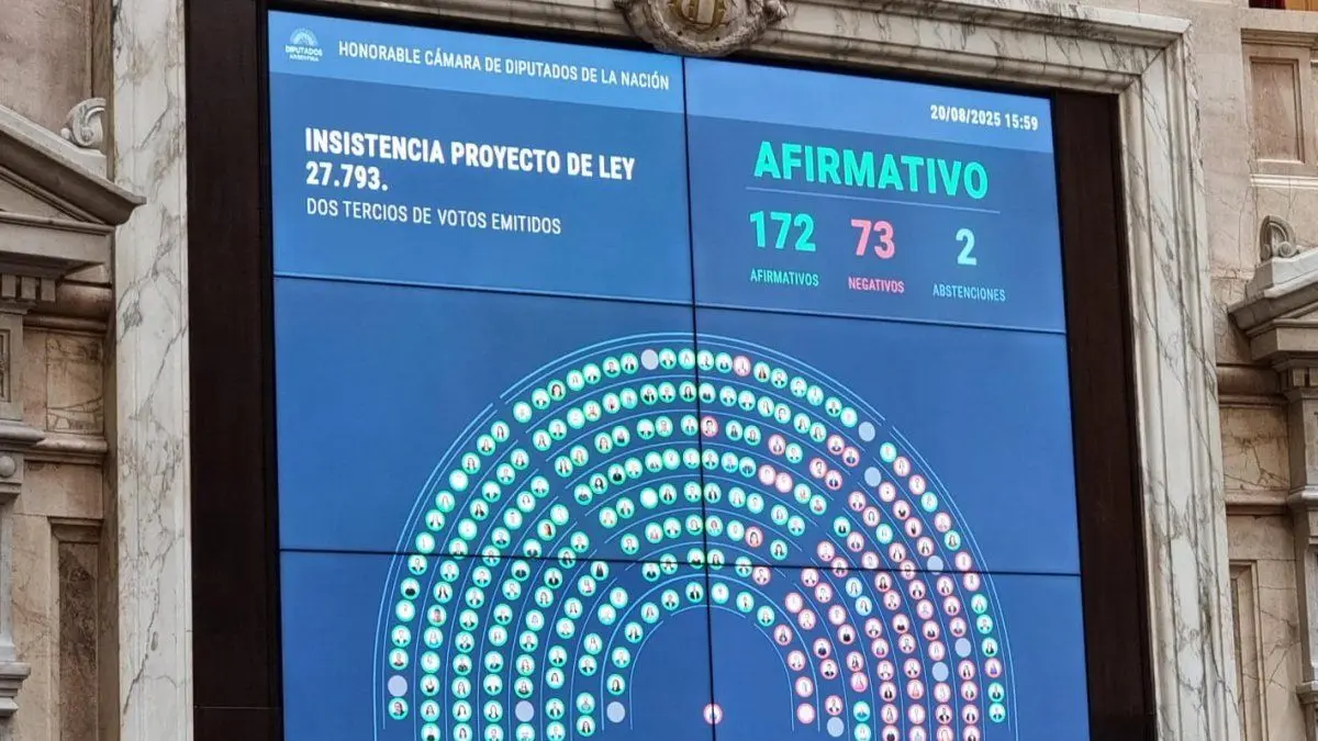 Uno por uno: así votaron los diputados para rechazar el veto a la emergencia en discapacidad