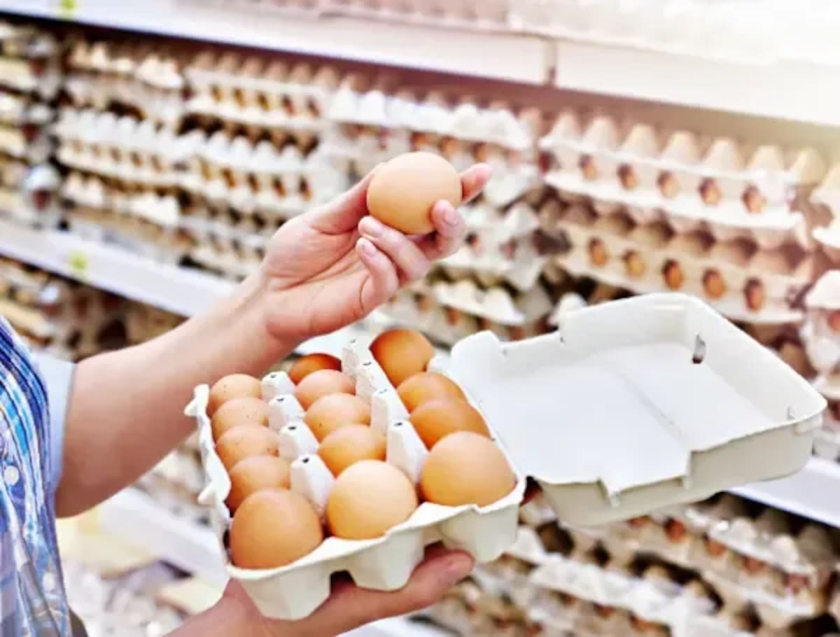 El consumo de huevo en Argentina rompe récords: 380 unidades por habitante alcanzadas en el último año