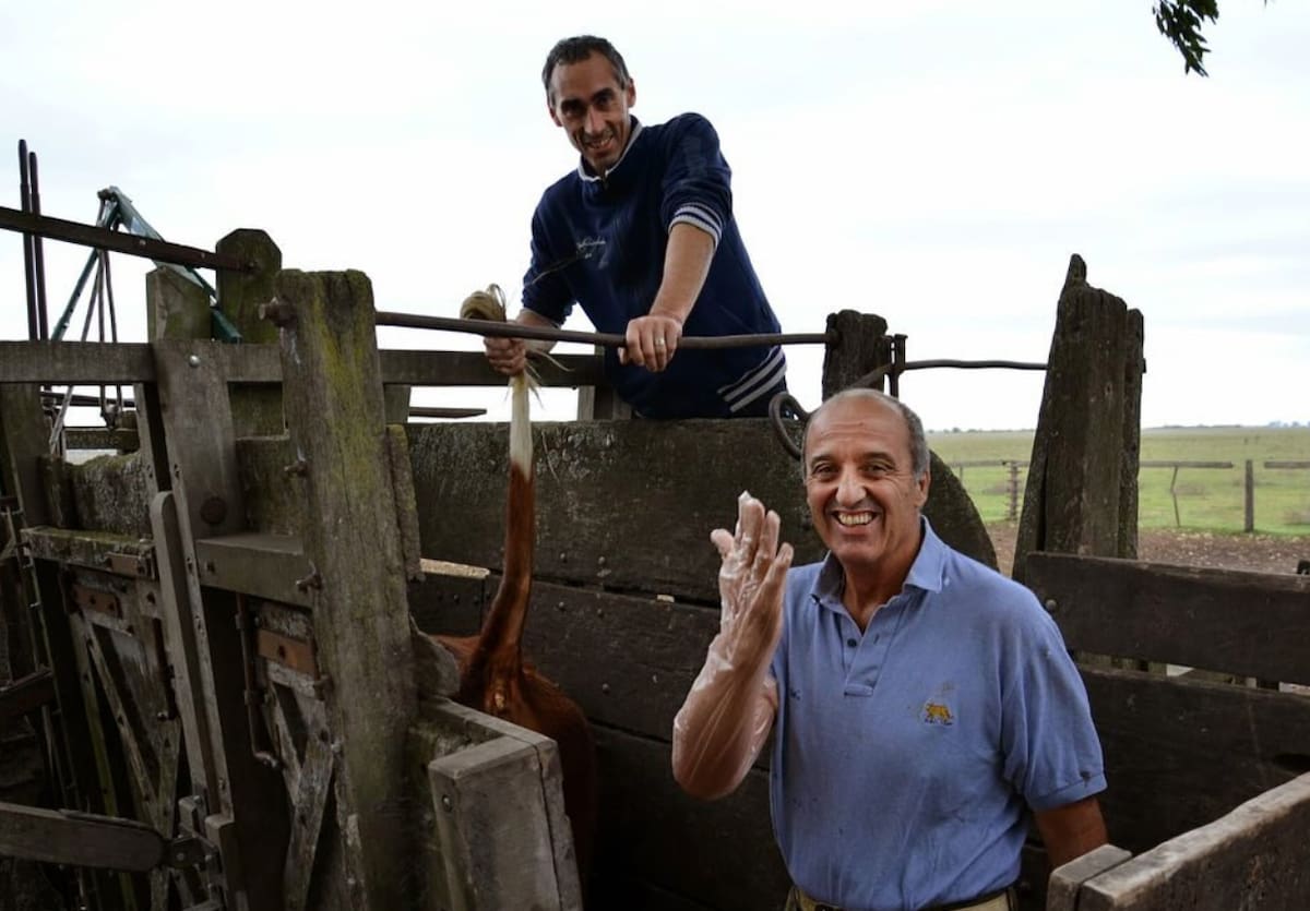 El veterinario argentino que ha realizado más de un millón de tactos rectales a lo largo de su carrera.