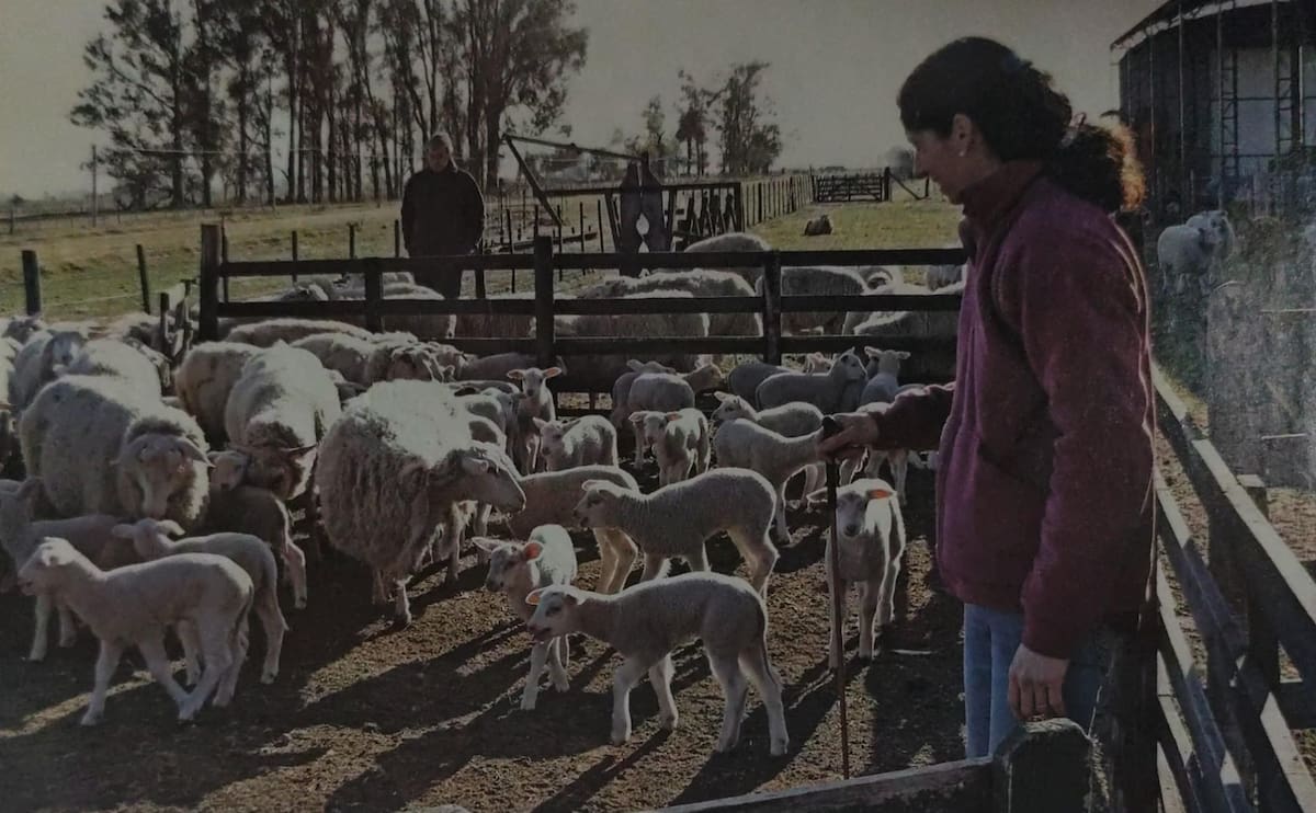 Pioneros en quesos de calidad: la llegada de una raza ovina única al país transforma la industria láctea