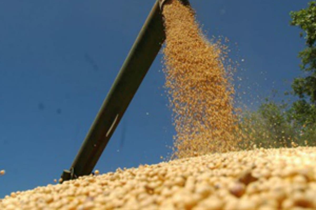 Caída significativa en la liquidación de divisas de agosto en comparación con julio